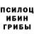 Псилоцибиновые грибы ЛСД Lloyd Sandles