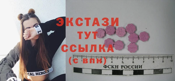 гидра Богданович