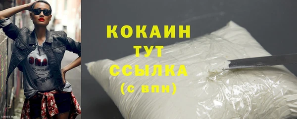 гидра Богданович