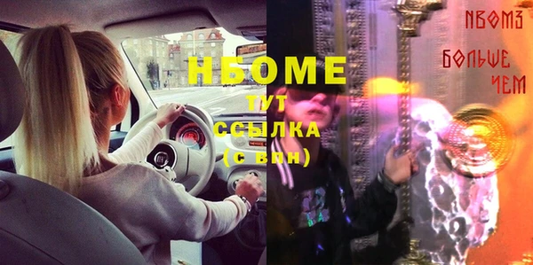 гидра Богданович