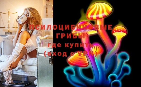 винт Богородицк