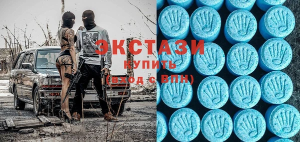 гидра Богданович