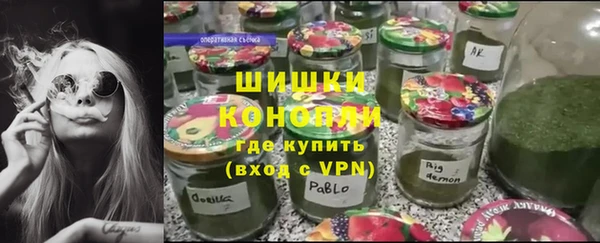 гидра Богданович
