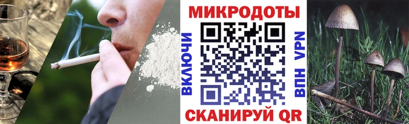 Псилоцибиновые грибы мицелий  как найти наркотики  Чебоксары 