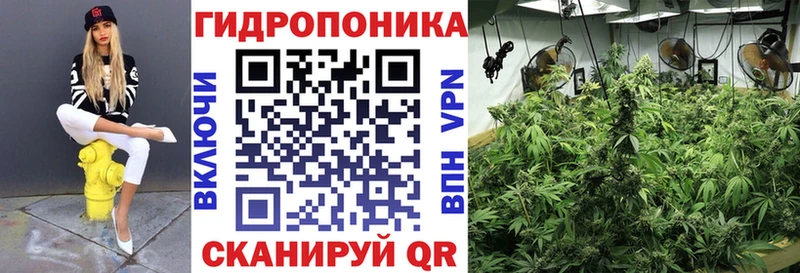 Бошки марихуана конопля  Чебоксары 